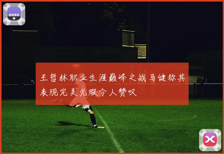 王哲林职业生涯巅峰之战马健称其表现完美无瑕令人赞叹