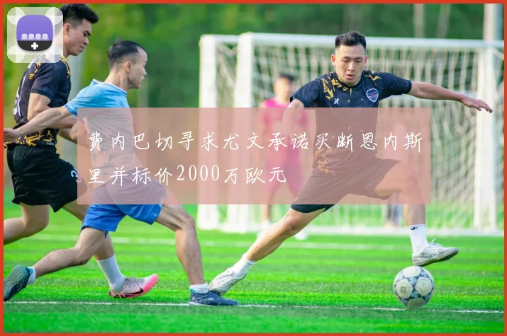 费内巴切寻求尤文承诺买断恩内斯里并标价2000万欧元