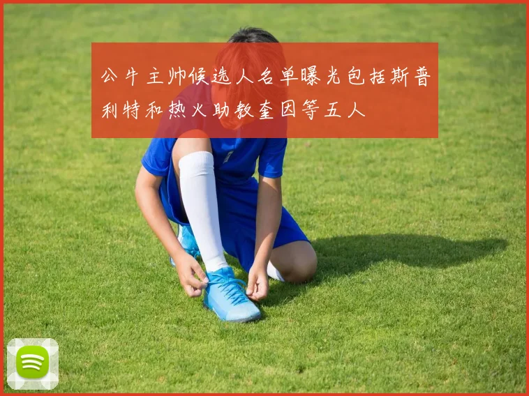 公牛主帅候选人名单曝光包括斯普利特和热火助教奎因等五人