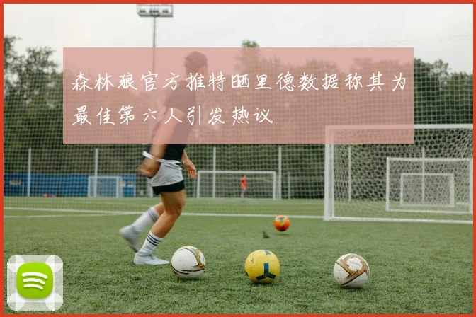 森林狼官方推特晒里德数据称其为最佳第六人引发热议